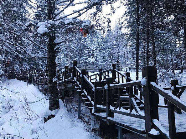 00000000czTodOhLgtGxKZah 00000000czTodOhLgtGxKZah