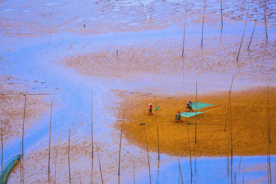 00000000dBaJPreiUuvvPrDY