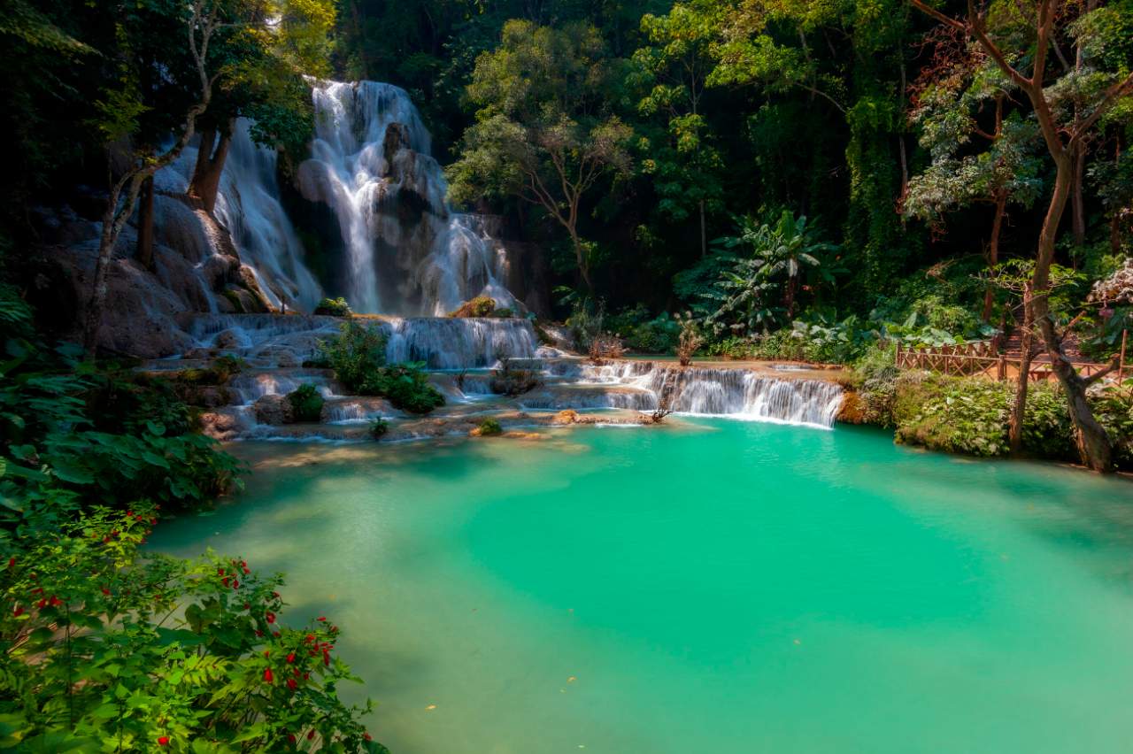 00000000dddwwEentxWmGxLn