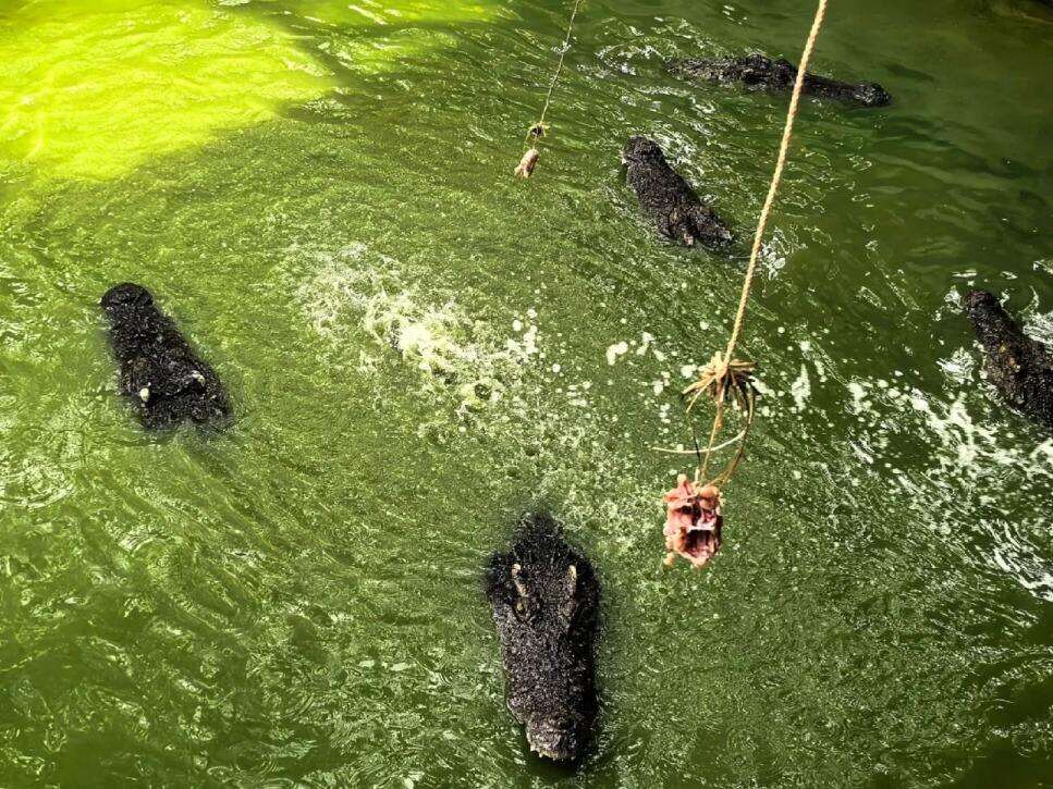 00000000eWsxoxSDigbDtzLs 00000000eWsxoxSDigbDtzLs