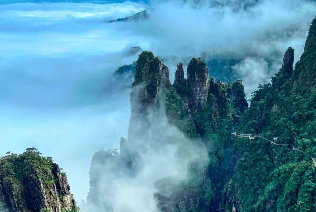 00000000eYTtjjQyPuwgDsyH