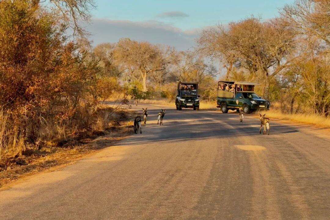 00000000fIIAXBPszRsiCswt 00000000fIIAXBPszRsiCswt