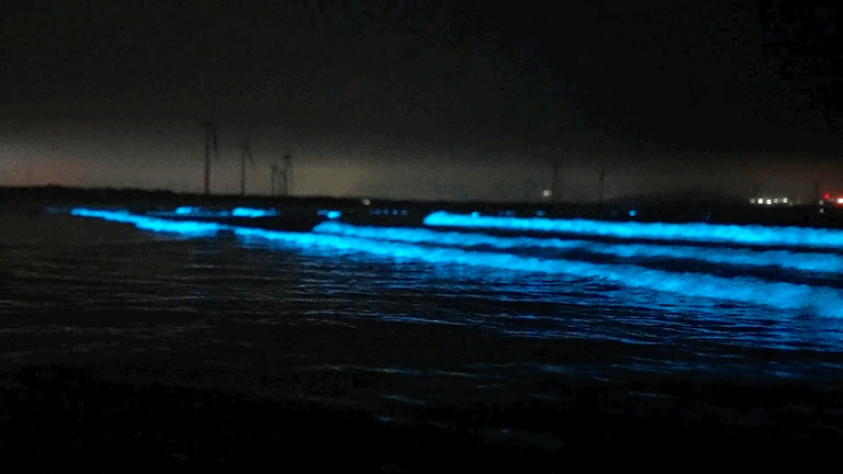 00000000fXItqYWKLqNiQgmL