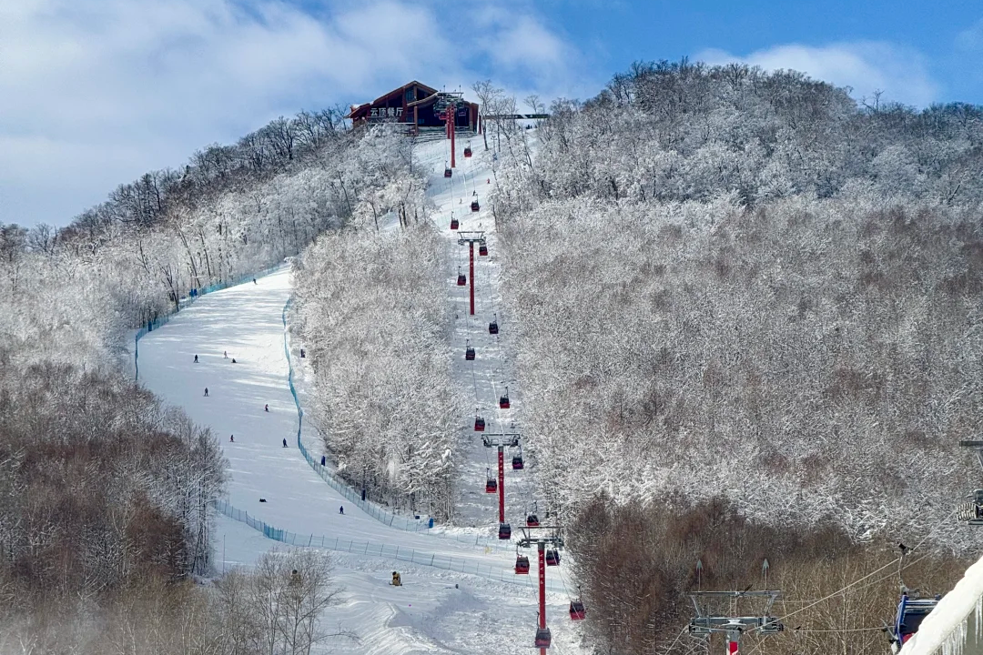 00000000gNlEkaREnscMcneh 00000000gNlEkaREnscMcneh