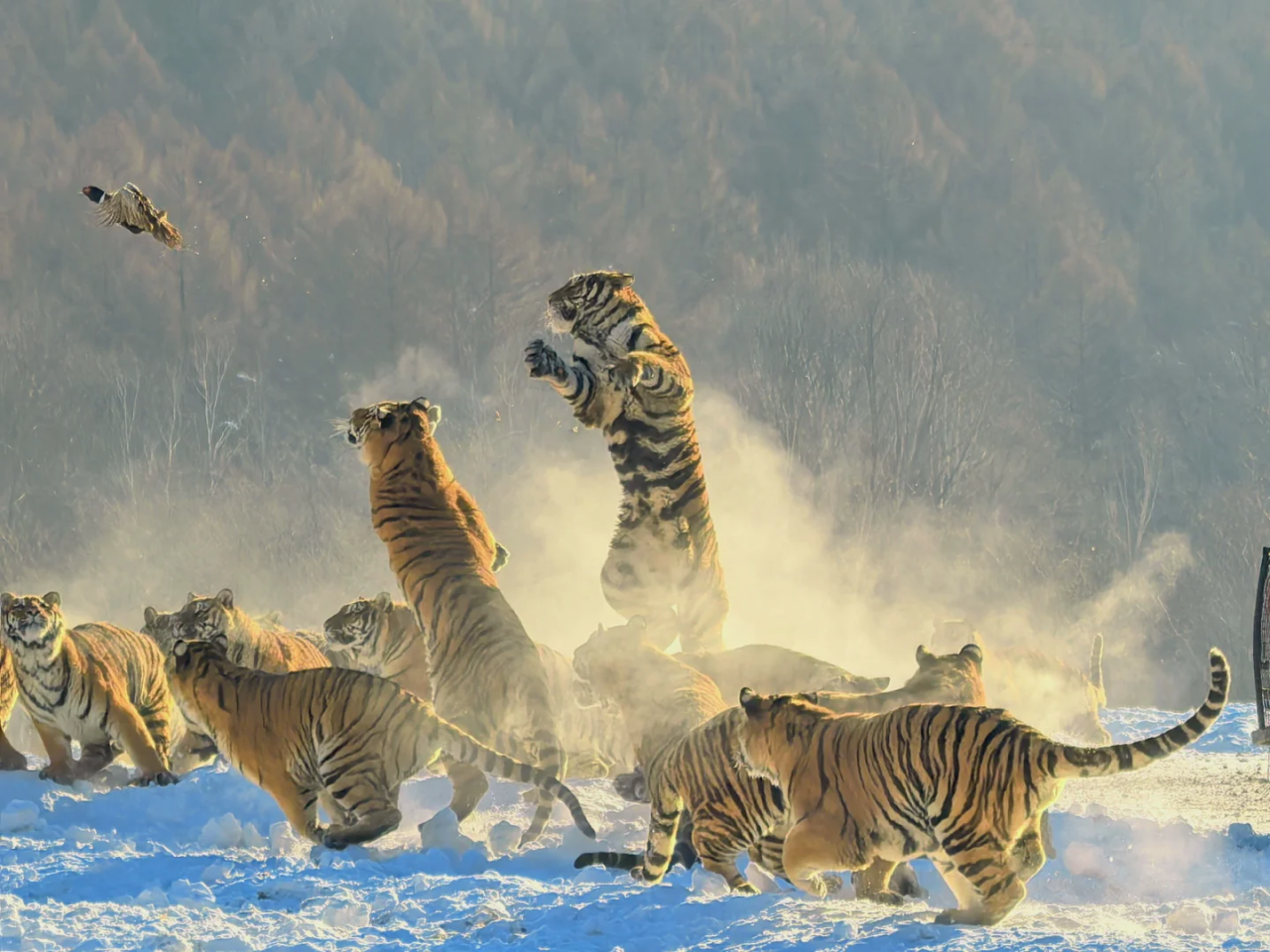 00000000gWoSWTJwFsmNsZsG 00000000gWoSWTJwFsmNsZsG