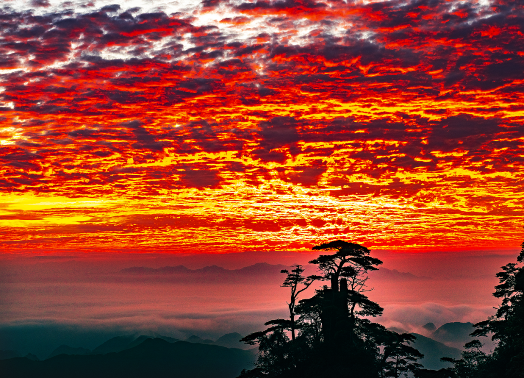 00000000hCYiiUcSBbNlEuss