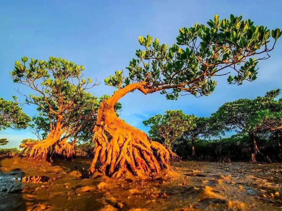 00000000hLQNLxaiDcwASzto-1 00000000hLQNLxaiDcwASzto-1