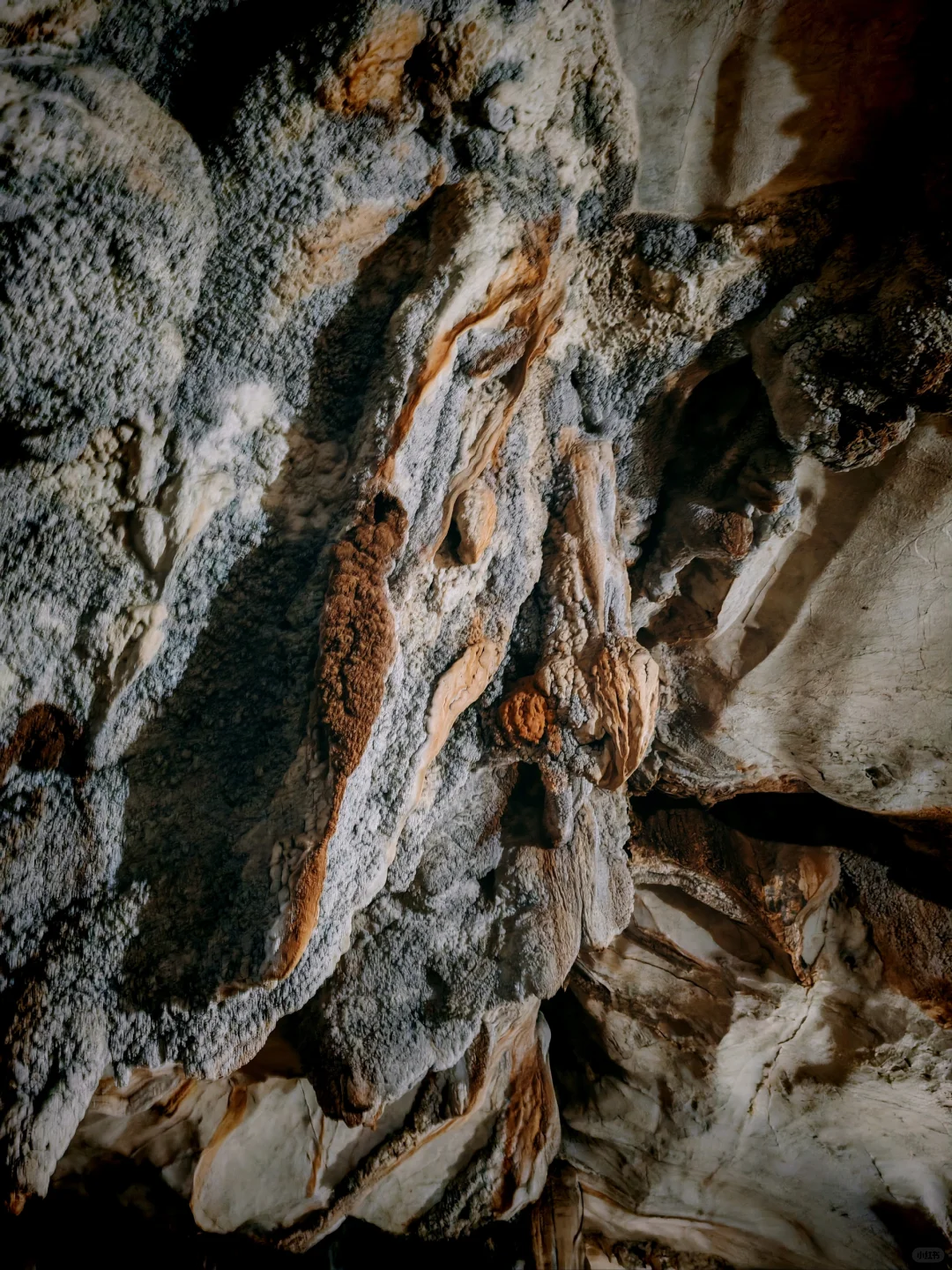 00000000hddumWGGglVFzzdr