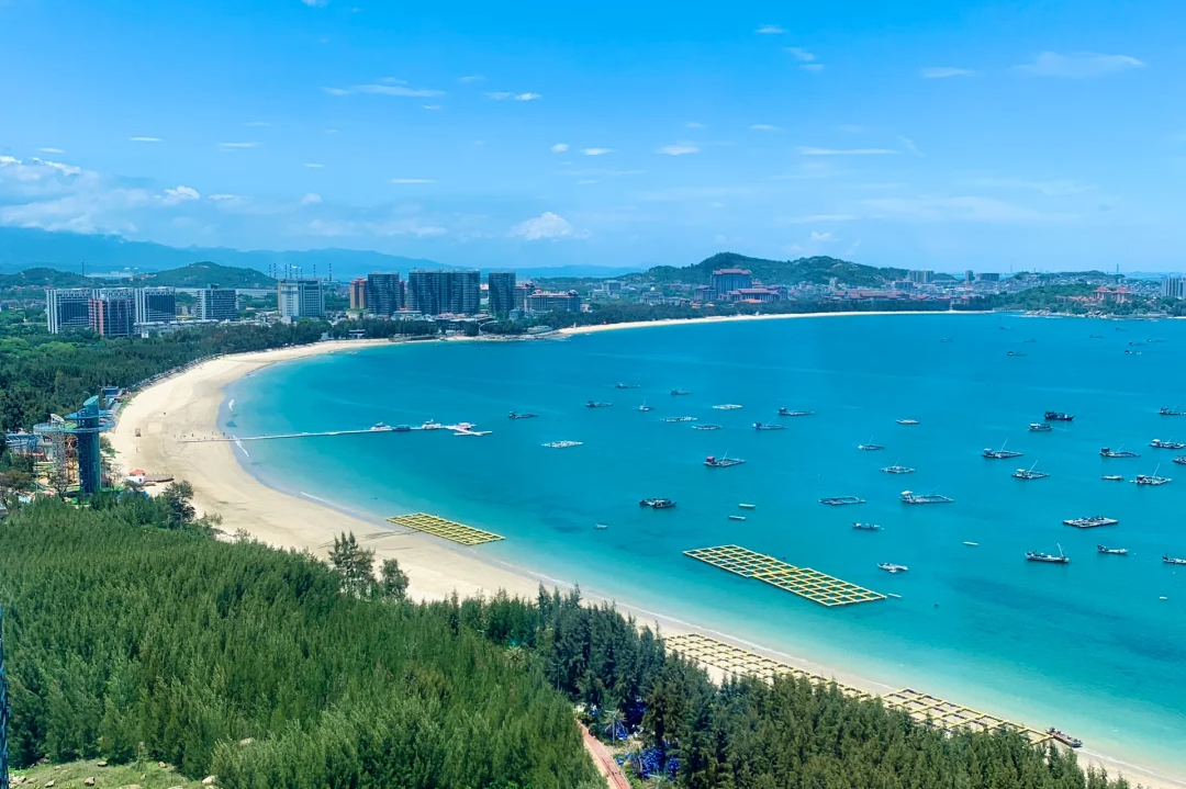 00000000iaIvqYgqfLErQxcU