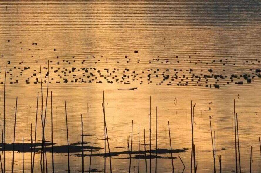 00000000iegPMNldJGHxmWRF