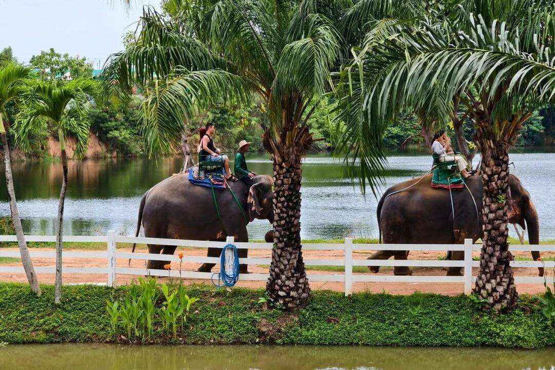 00000000ikurtgJnRydZdgdt 00000000ikurtgJnRydZdgdt