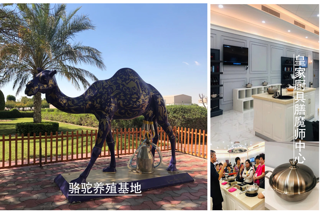 00000000iqoASMMJNLdWvtdX 00000000iqoASMMJNLdWvtdX