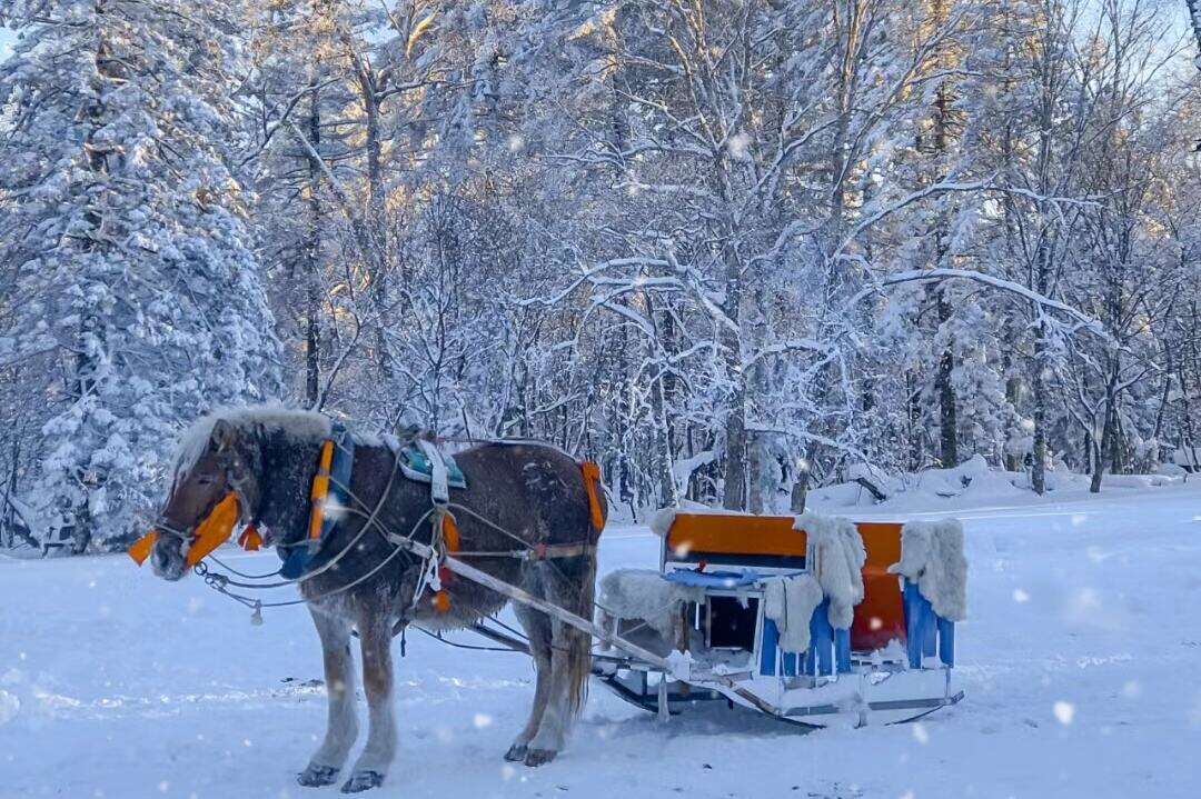 00000000jQVxpbLjFniTfbdl 00000000jQVxpbLjFniTfbdl