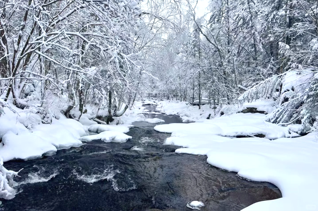 00000000jsOJhnualaSfZEvi 00000000jsOJhnualaSfZEvi