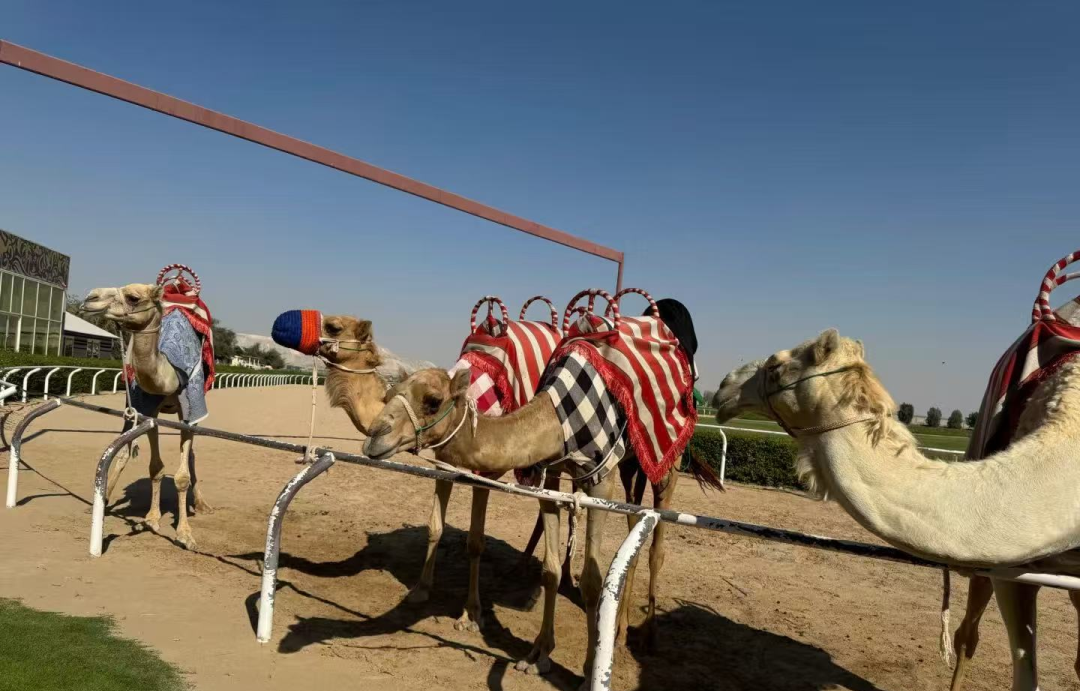 00000000kLkkBUAnopSKXaRO 00000000kLkkBUAnopSKXaRO