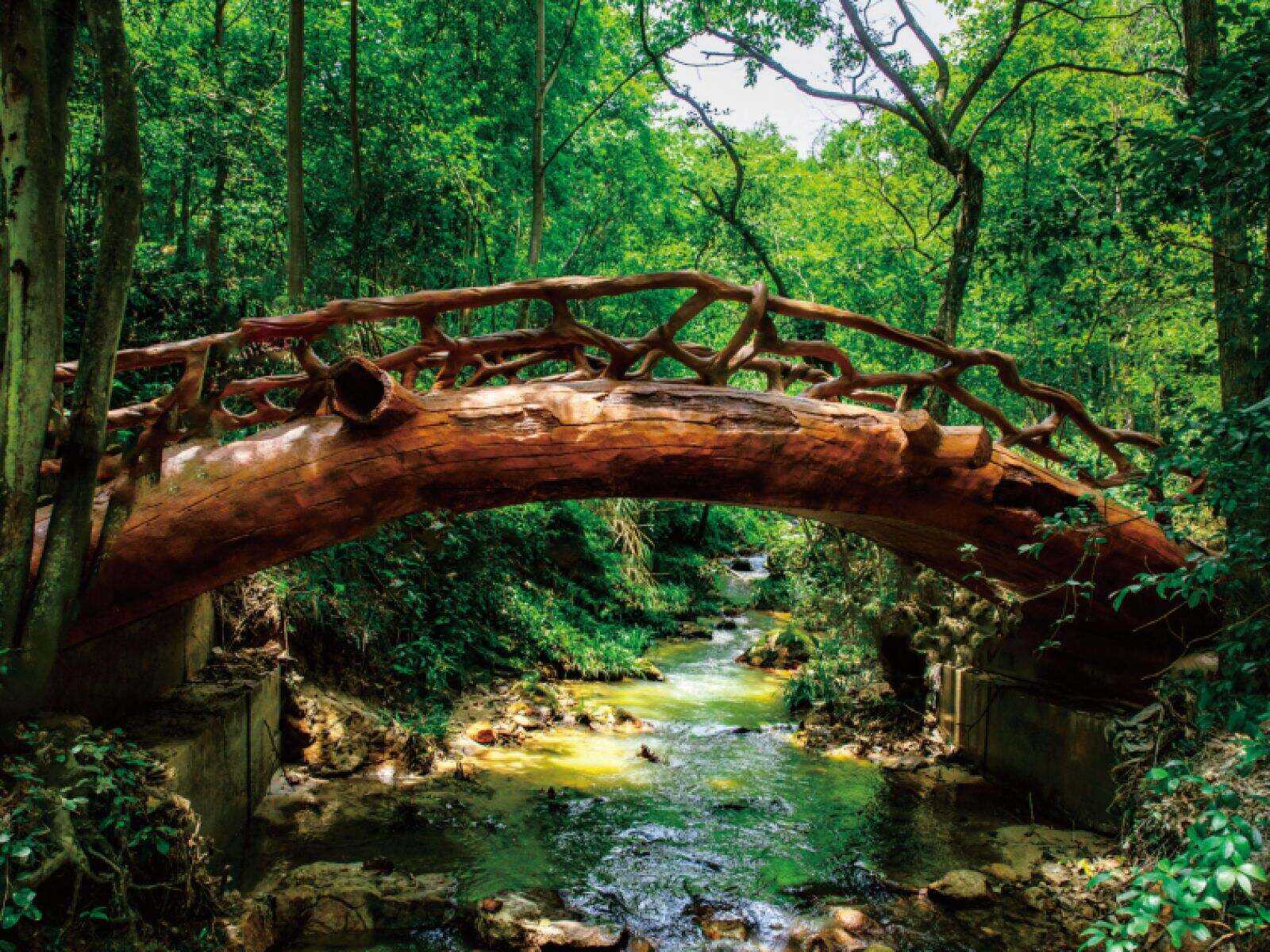 00000000kVFFqfsabEfVrbQk