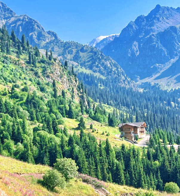 00000000kdBThUNYjBZgwIII