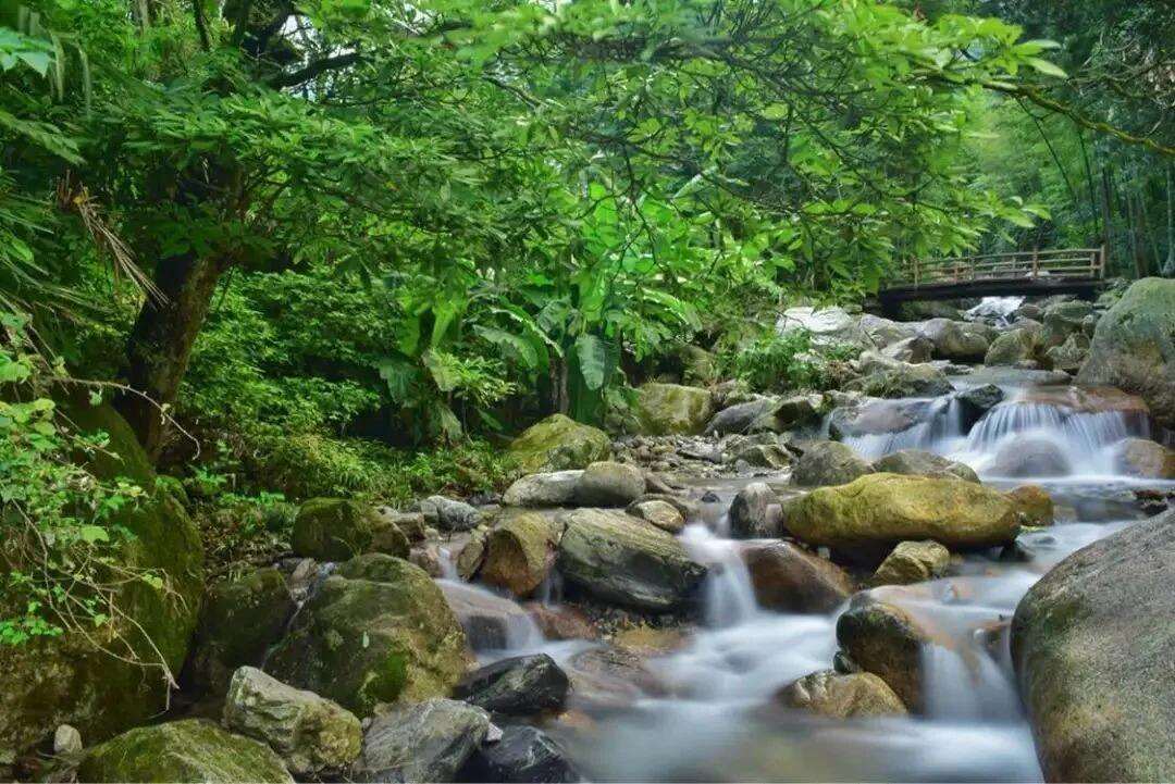 00000000krSSScmrJajvriwN 00000000krSSScmrJajvriwN