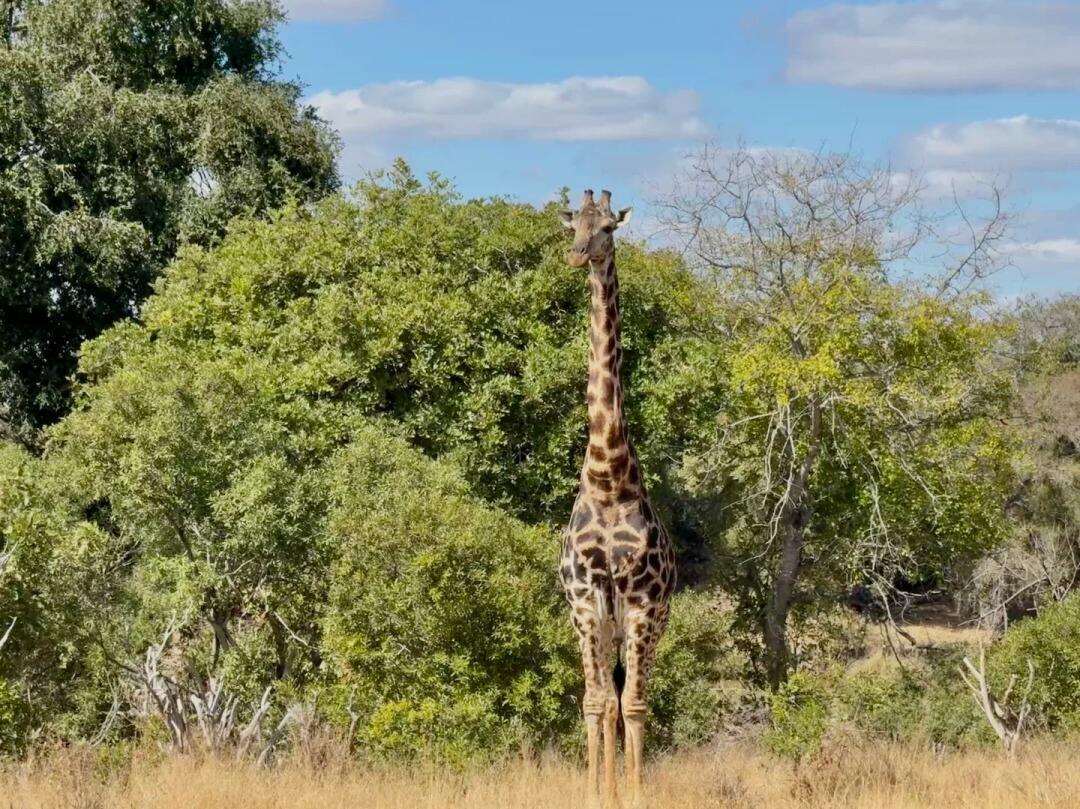 00000000mEEorTWFHwMiNRFN 00000000mEEorTWFHwMiNRFN