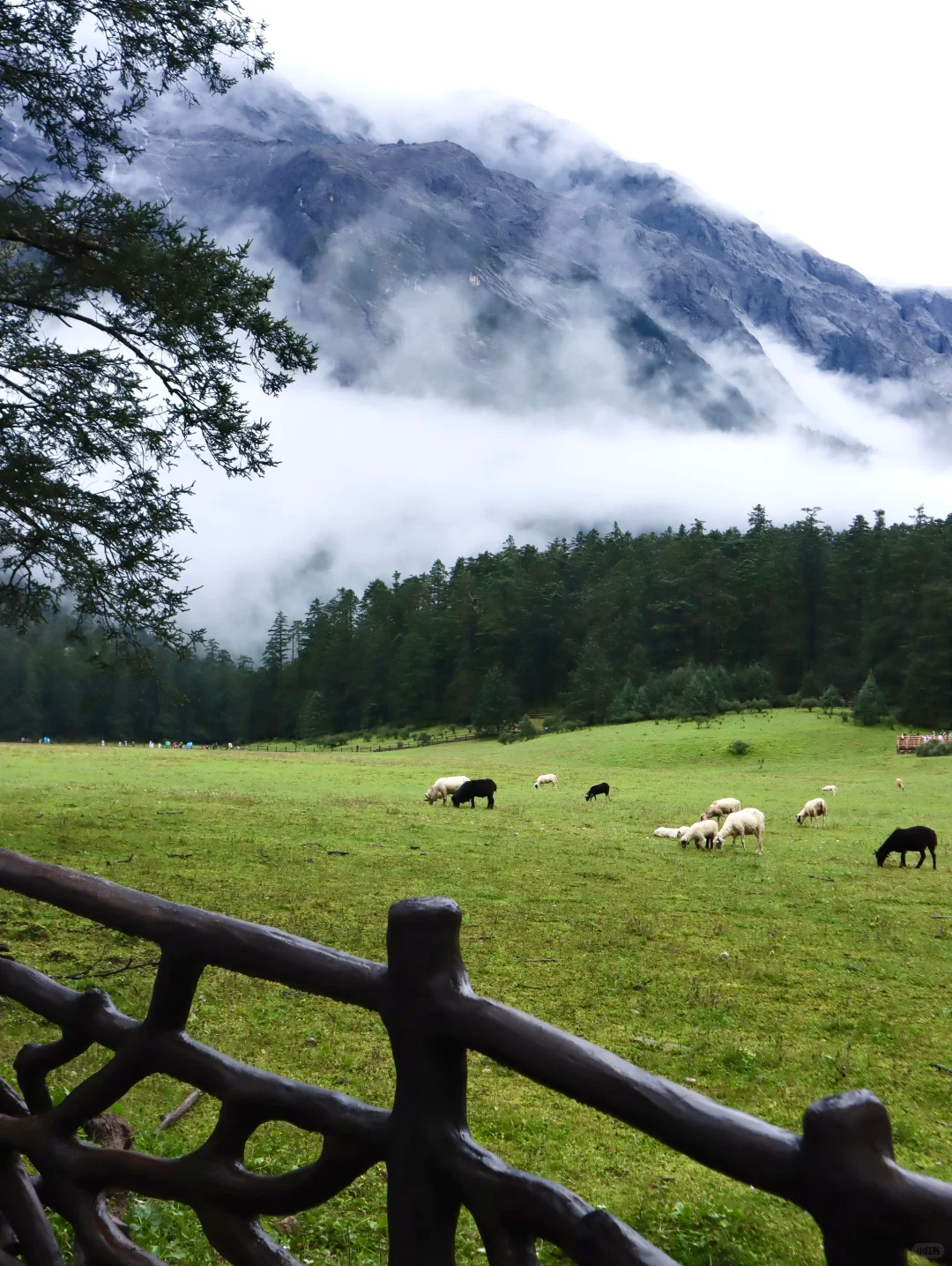 00000000mFDmtXmajKSWpayx