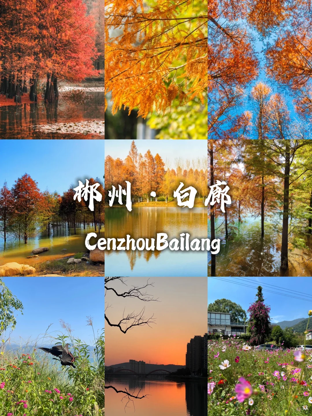 00000000meZakhJEVrDkuPIo