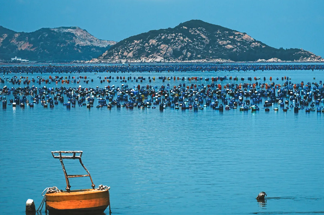 00000000muLkGRuiYKTXSEap