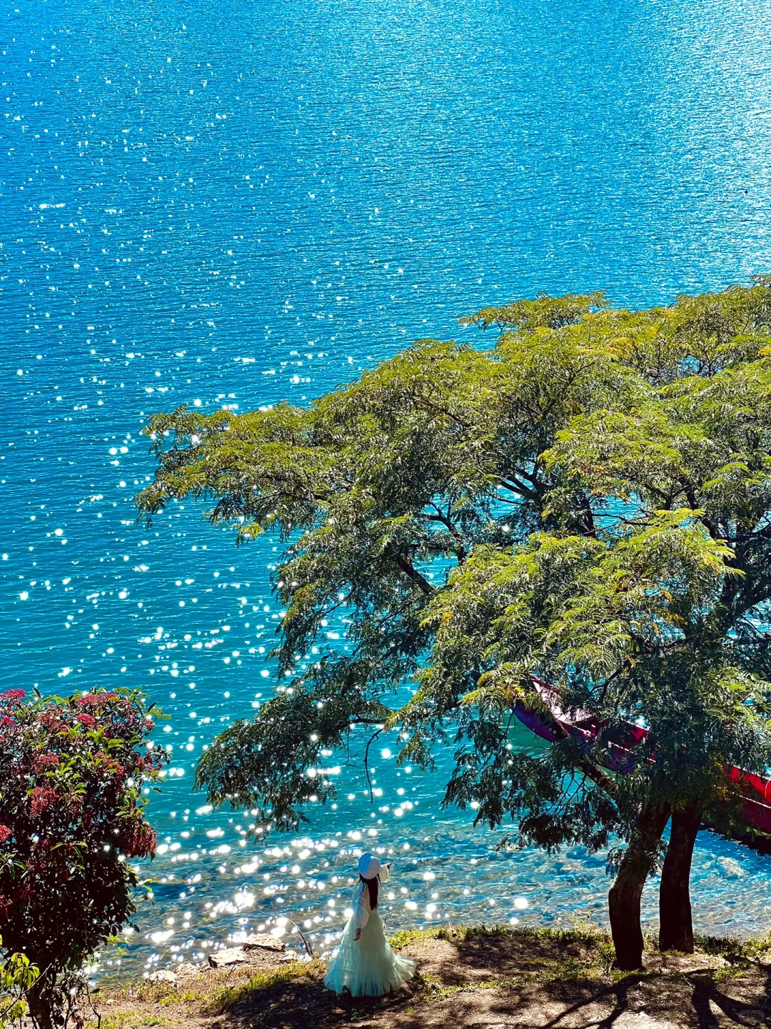 00000000muZbIzgtvJqJpdJo