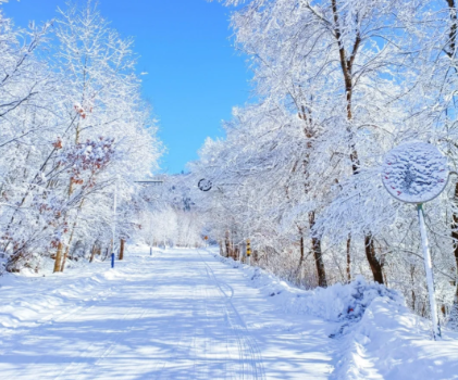 00000000myDKOeNRwkEeOMkR