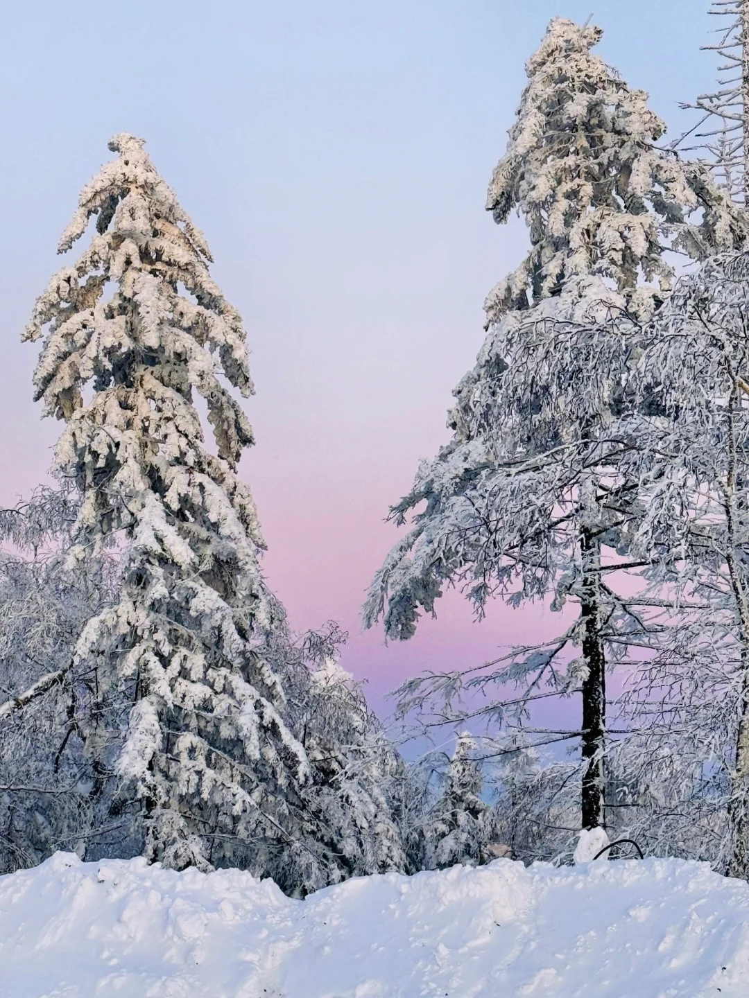 00000000myonVwHcEimvtuxy