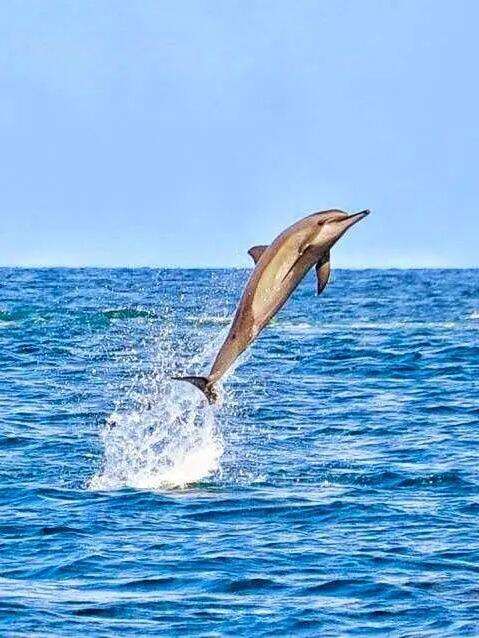 00000000nWZZbJCeyIiDlExL 00000000nWZZbJCeyIiDlExL