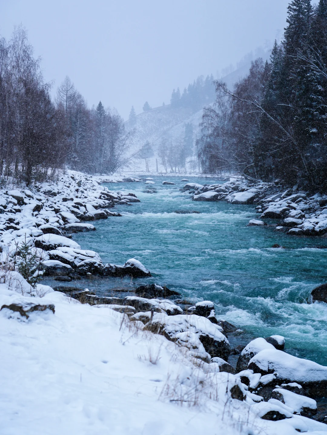 00000000nXJNRIDgTBusjcnZ