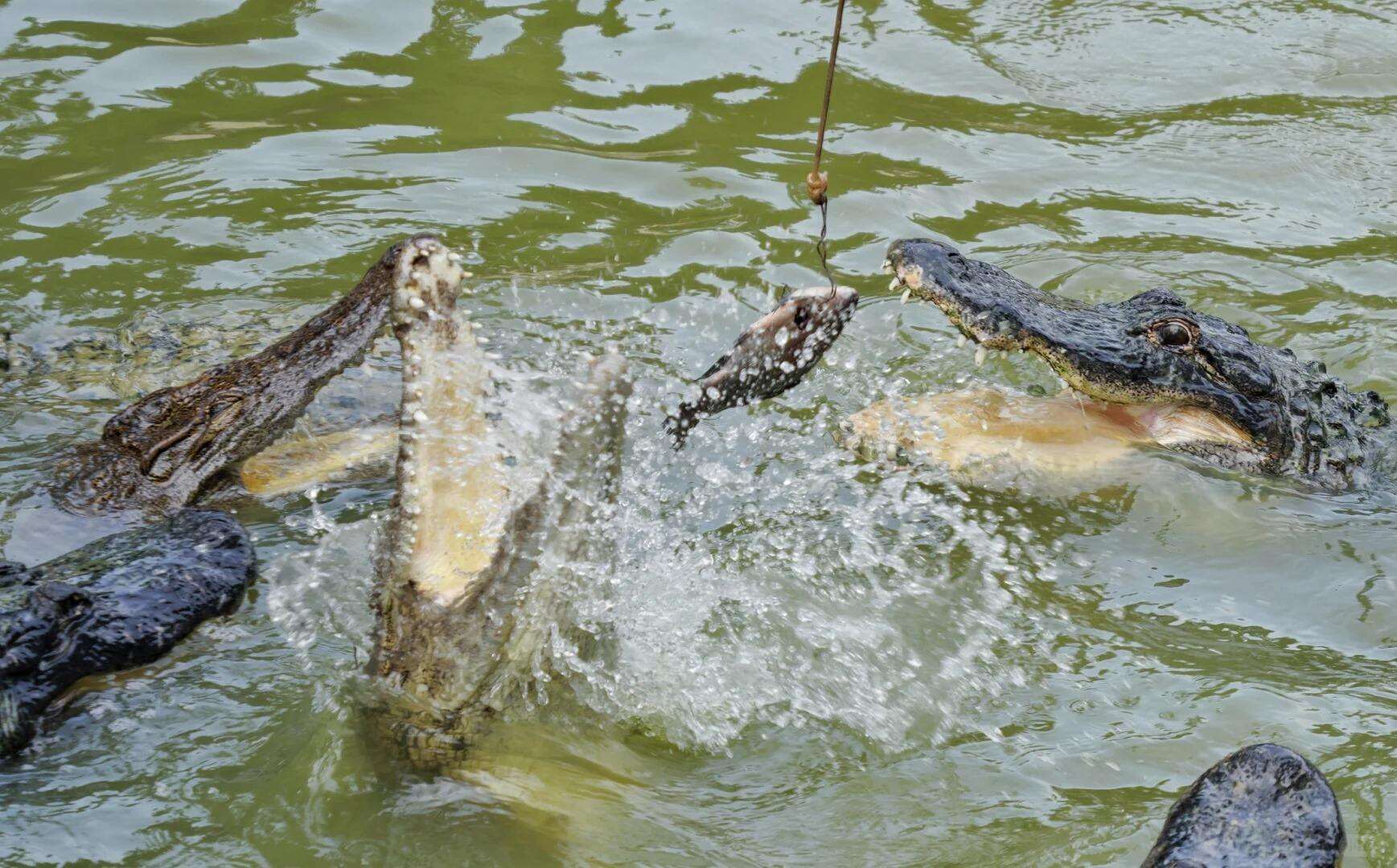 00000000oIuoUJFEjvogyERK 00000000oIuoUJFEjvogyERK