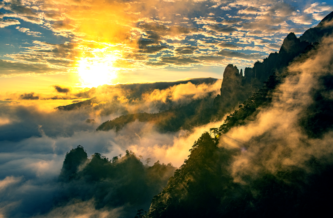 00000000oteghIygtdDrjcfl