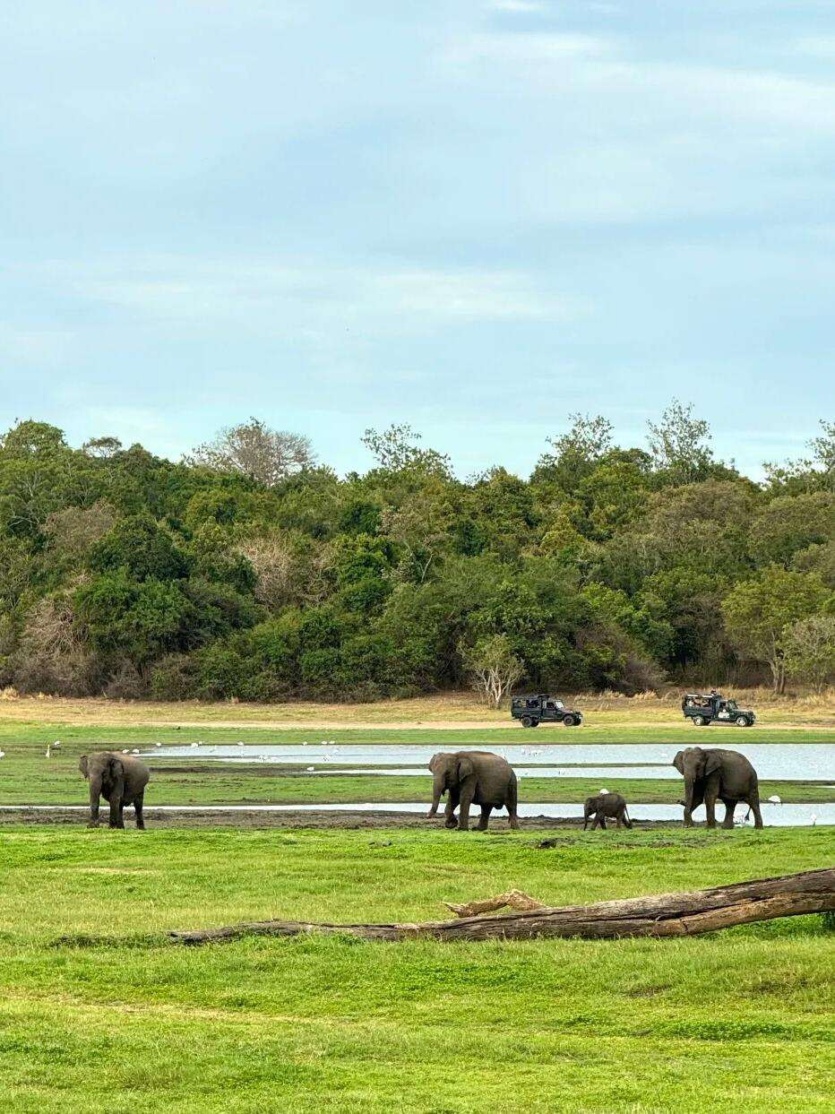 00000000oxsyijWJyyzWQQyL 00000000oxsyijWJyyzWQQyL