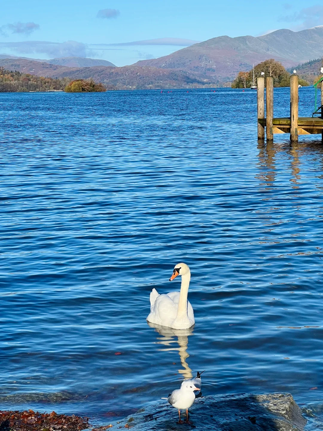 00000000pCvLTHpIEeMzGljG