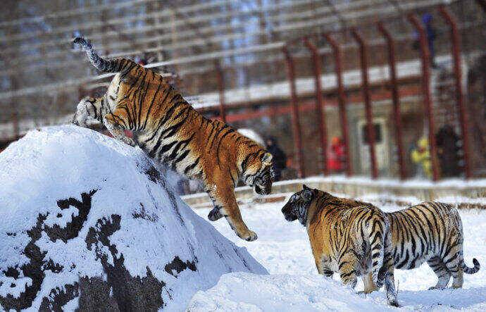 00000000pICdTrQVBMmRfwGY