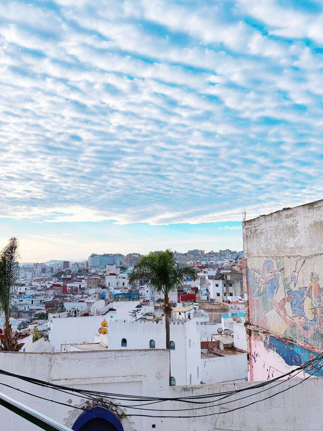 00000000pcgQhxcQaJlAonVX