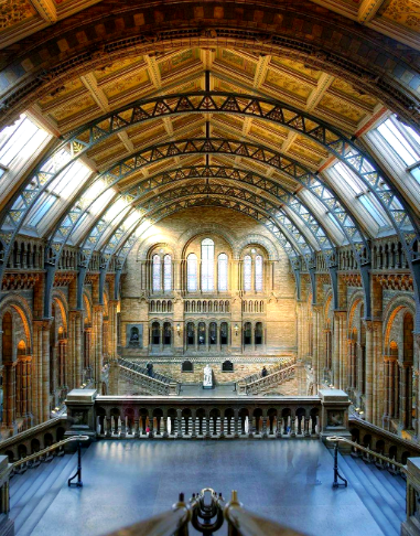 00000000qDsAlhOHJRuVyYRG