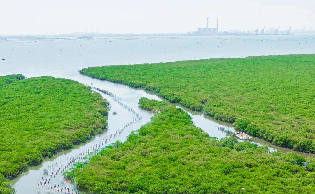 00000000rTgrAaFlrWpNknSw-1 00000000rTgrAaFlrWpNknSw-1