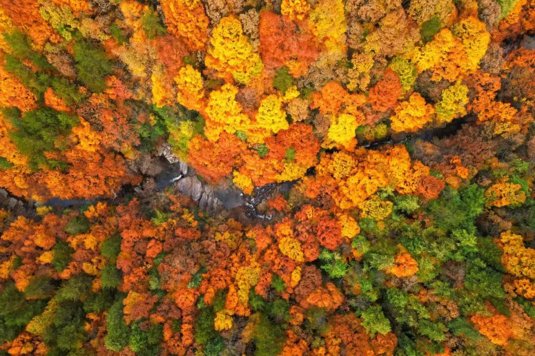 00000000rgOHFQDJZhHAEVKg 00000000rgOHFQDJZhHAEVKg