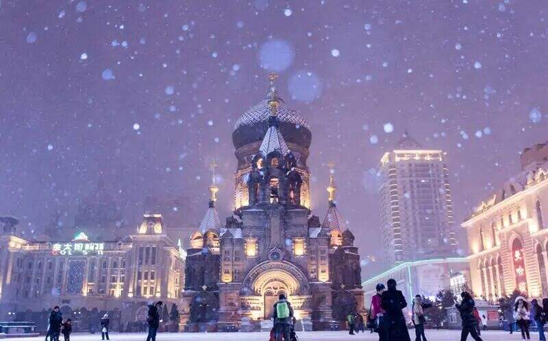 00000000sCDUcyoDOIuLSzoT 00000000sCDUcyoDOIuLSzoT