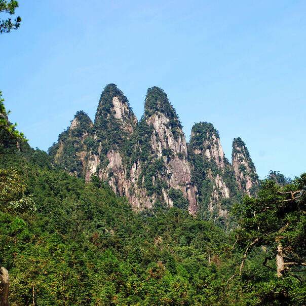 00000000sOSieeTLitrdmEmg 00000000sOSieeTLitrdmEmg