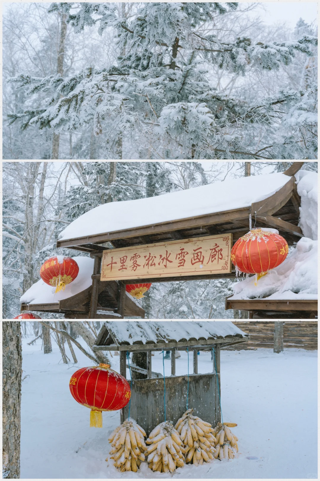 00000000sWoEGSkWZKnbdhgf