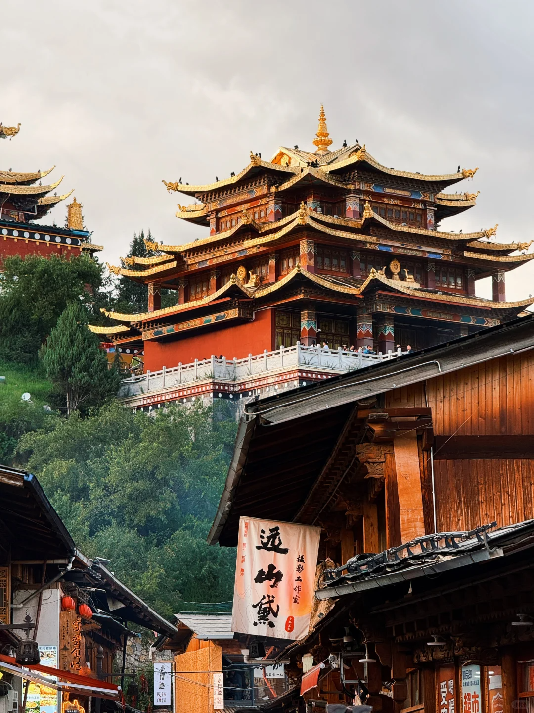 00000000sdWvAycAZdgqIfVp