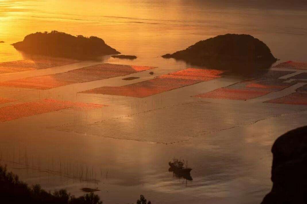 00000000sffPGwkgEfnVzbIR