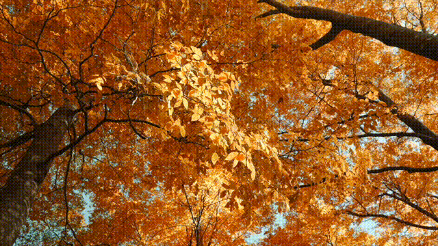 00000000snrDGjLRCHcxazmY 00000000snrDGjLRCHcxazmY