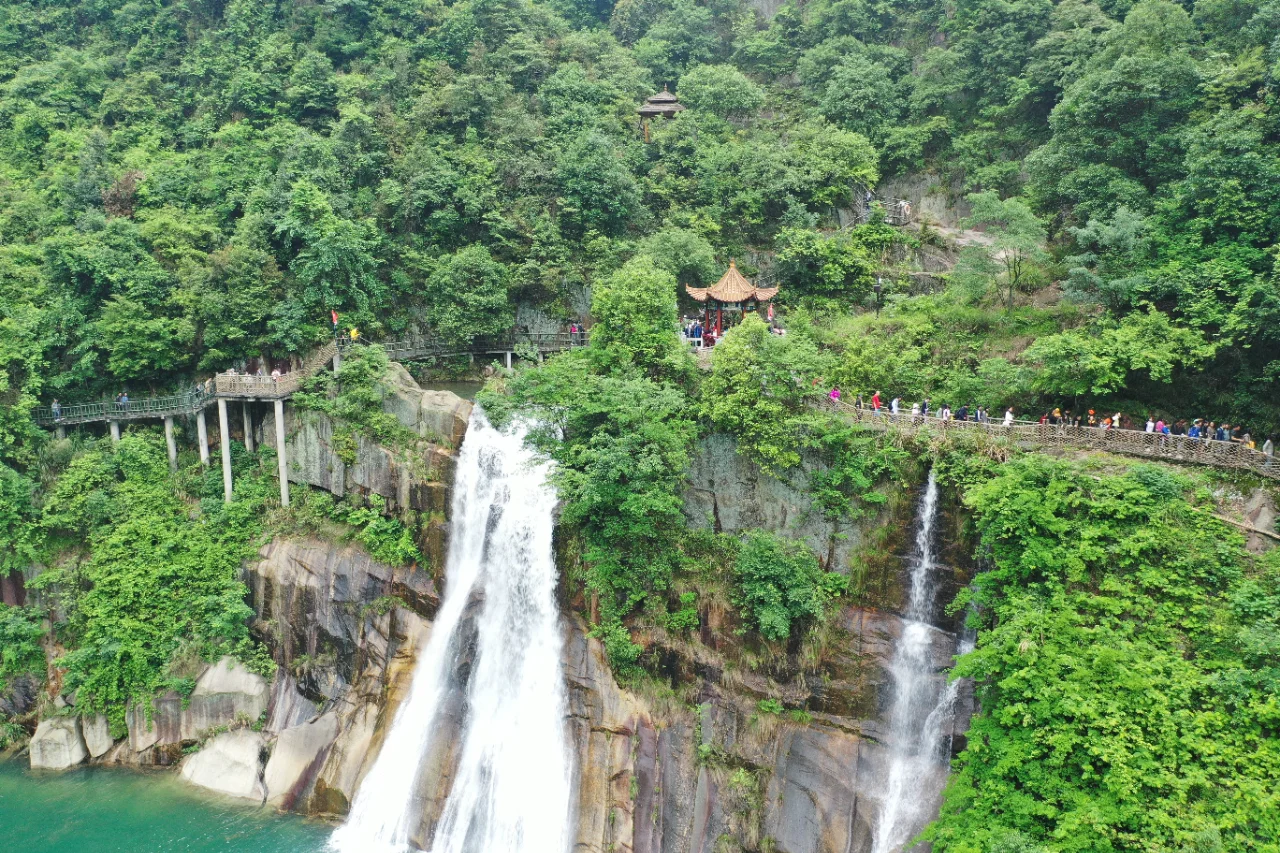 00000000svzVSZVSzlyeJVDq