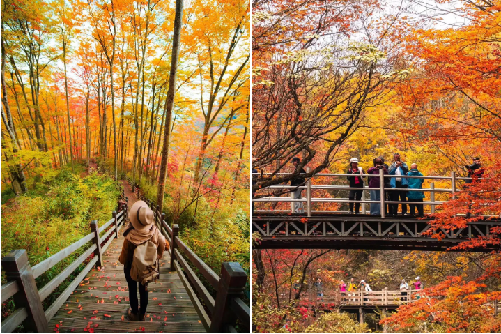 00000000tHupLblouVGPQJka 00000000tHupLblouVGPQJka