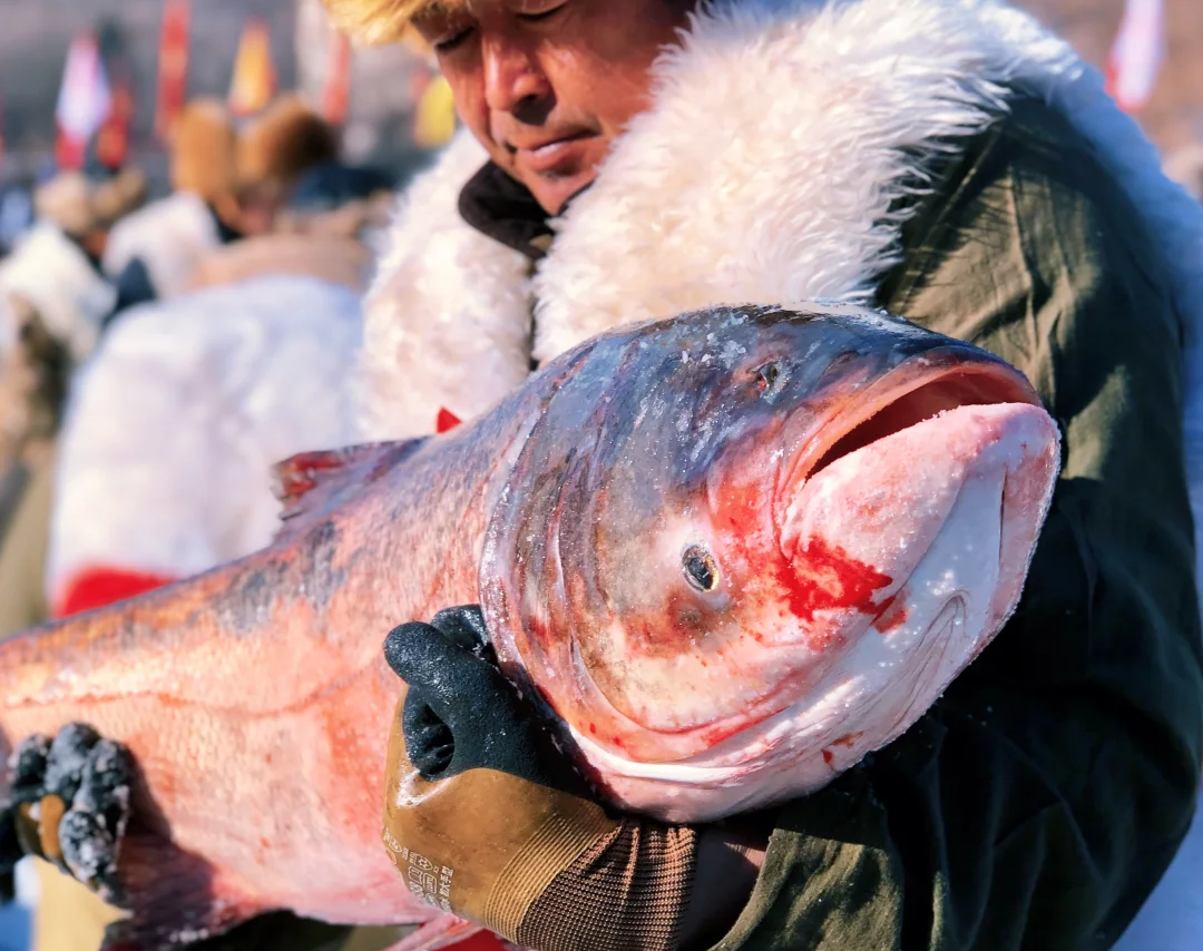 00000000tKJrrPFAxLetHgZX