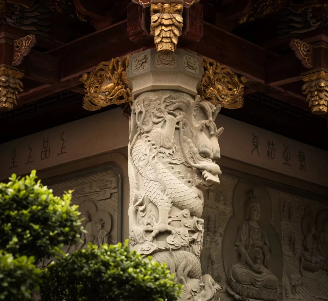 00000000tdSBwRqFMfZhWRNw